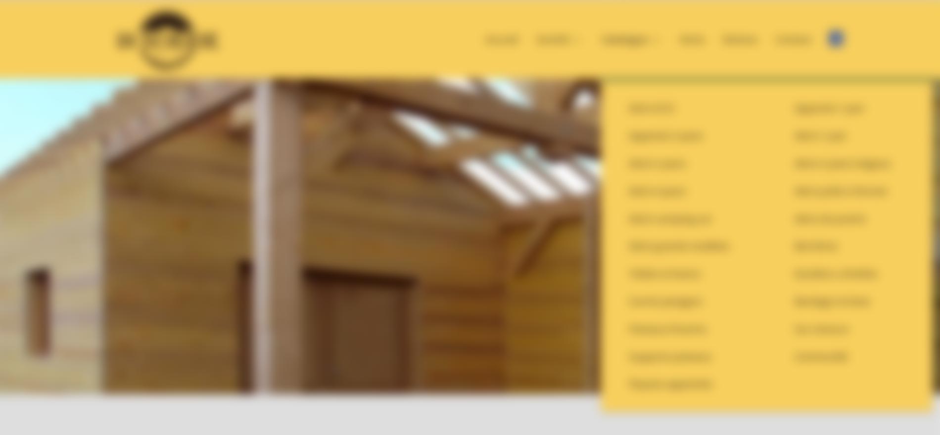 Comment faire un sous-menu sur deux colonnes sur Divi