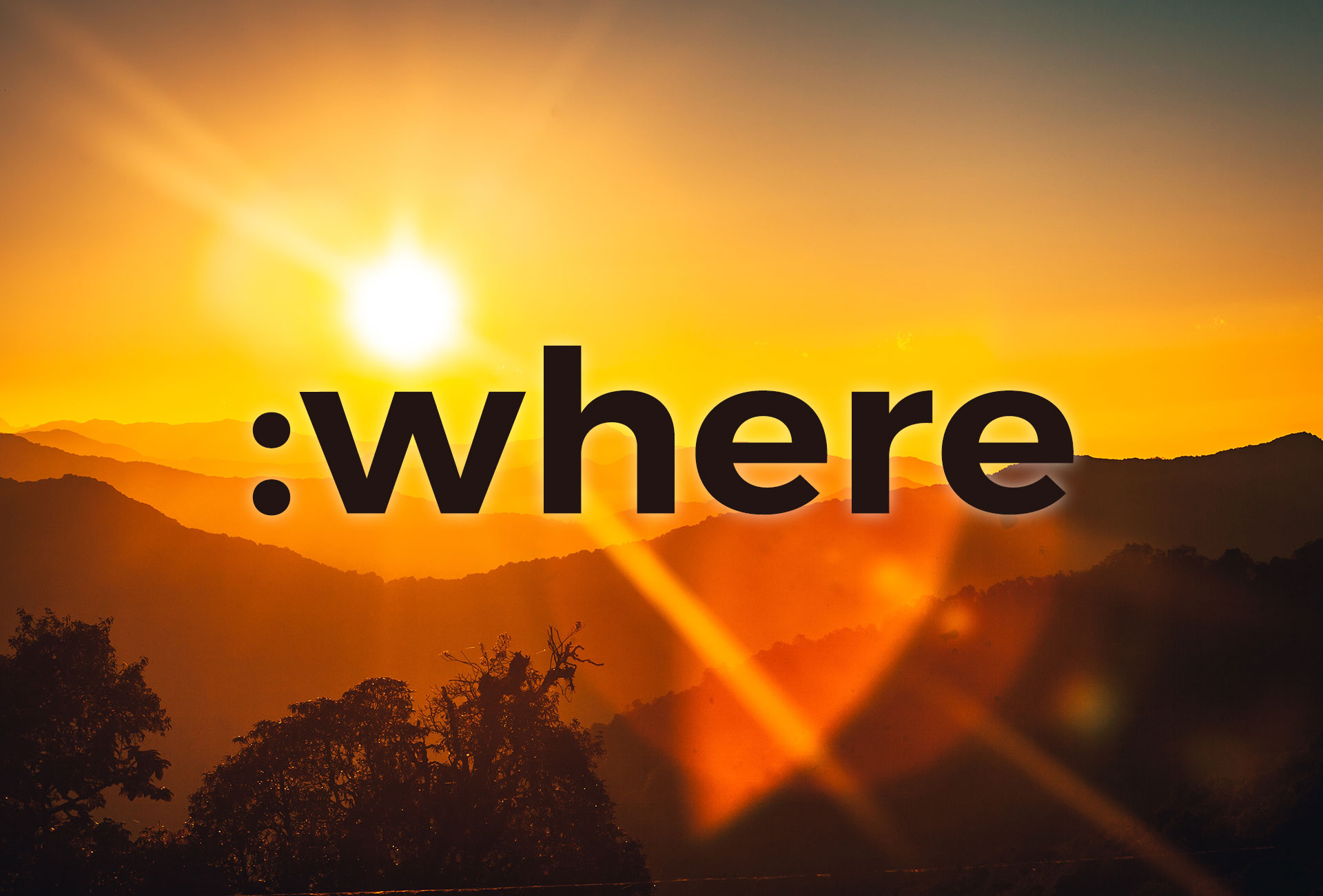 Réduire son CSS avec :where()